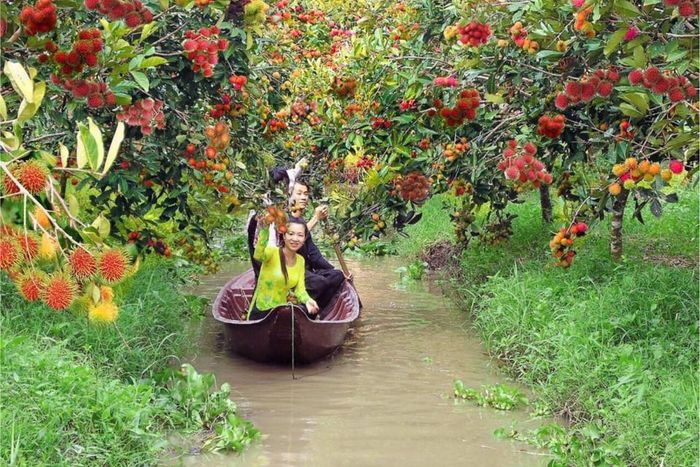 Không gian xanh mát bên dòng sông Cần Thơ tại Mỹ Khánh