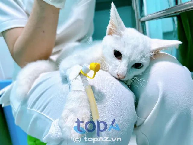 Phòng khám Thú y Minh Thư tại thành phố Cần Thơ