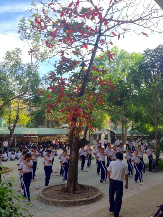 Khoảnh khắc sinh động trong giờ học Thể dục tại THCS Lê Ngọc Hân