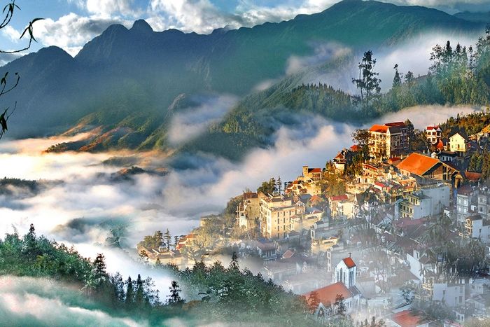 Hình ảnh minh họa từ Internet - ảnh số 2