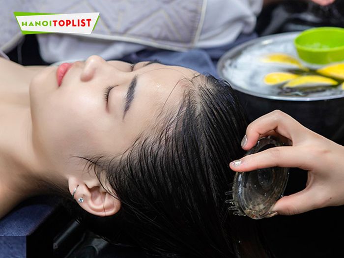 holaco-beauty-healthy-dia-chi-duong-sinh-gia-tot-Mytour