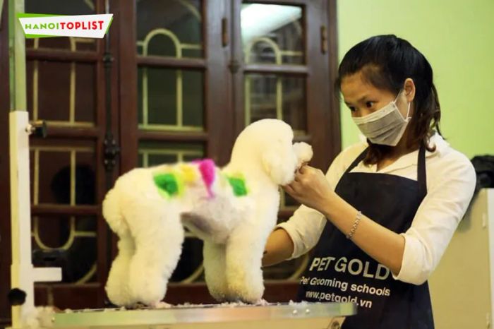 pet-gold-spa-thu-cung-5-sao-ha-noi