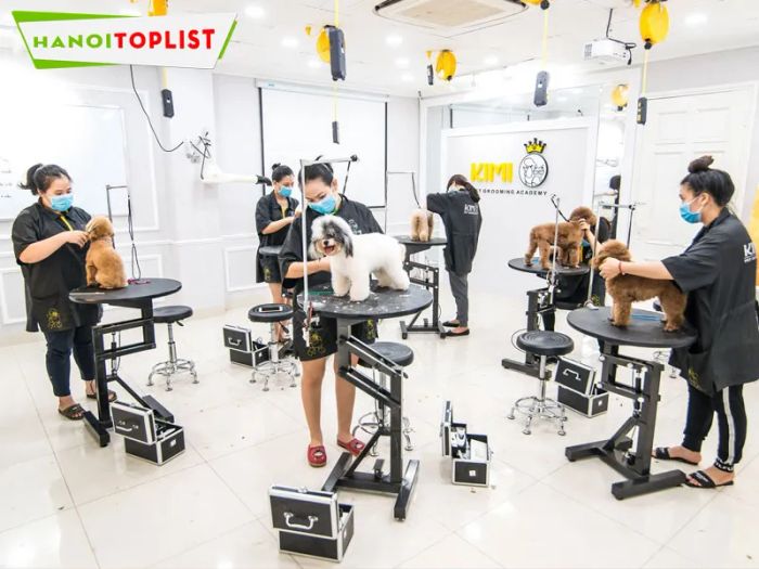 kimi-pet-spa-thu-cung-chuan-quoc-te