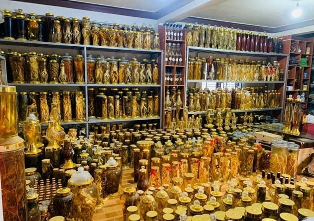 Gốm Sứ Thủy Tinh Bùi Trần Gia – Địa chỉ đáng tin cậy cho những ai yêu thích gốm sứ