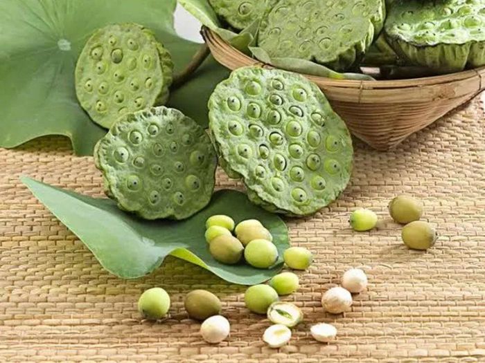 Hình ảnh minh họa đầm sen thơ mộng (Nguồn: internet) ảnh 2