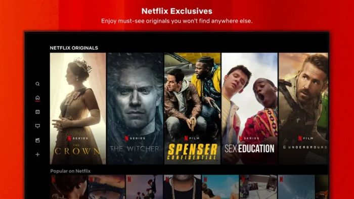 Netflix hình ảnh 2