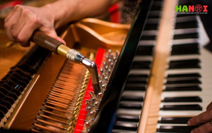 piano-phuc-hau-dia-chi-sua-chua-tin-cay