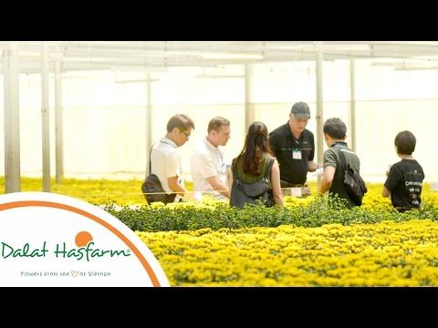 SỨ MỆNH VÀ TẦM NHÌN CỦA DALAT HASFARM