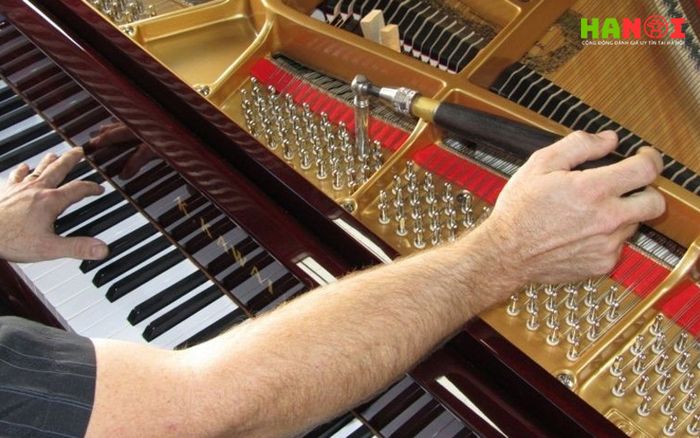 jps-piano-dich-vu-chuyen-nghiep