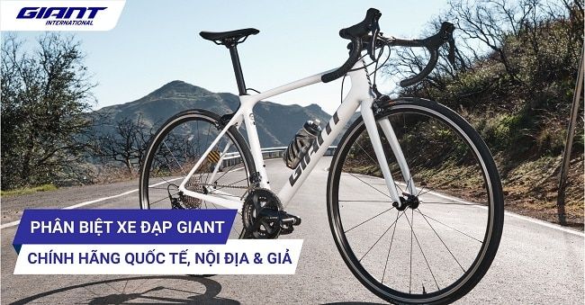 Khám phá thế giới xe đạp thể thao đẳng cấp tại Giant International