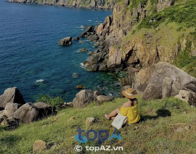 Tropical Trip Phú Yên - Đơn vị du lịch uy tín hàng đầu với dịch vụ chuyên nghiệp