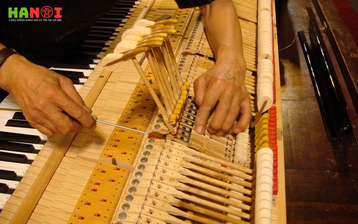 thanh-an-piano-dia-chi-uy-tin-cho-nguoi-me-dan