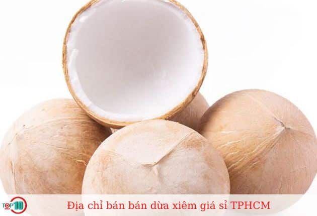 Tổng Đại lý Dừa Xiêm TT - Nhà cung cấp dừa sỉ uy tín