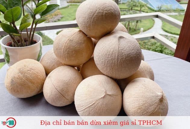 Vựa Dừa Hóc Môn - Điểm hẹn của tín đồ yêu dừa