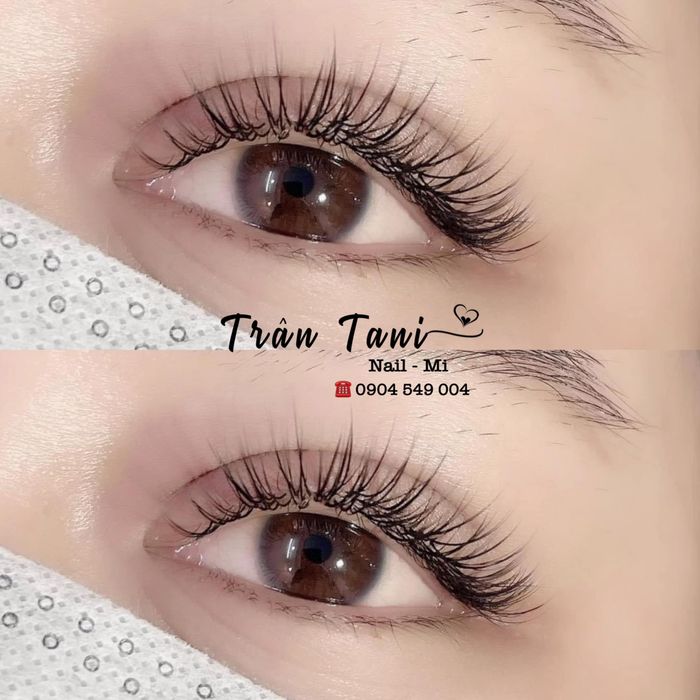 Trân Tani Mi - Hình ảnh 2