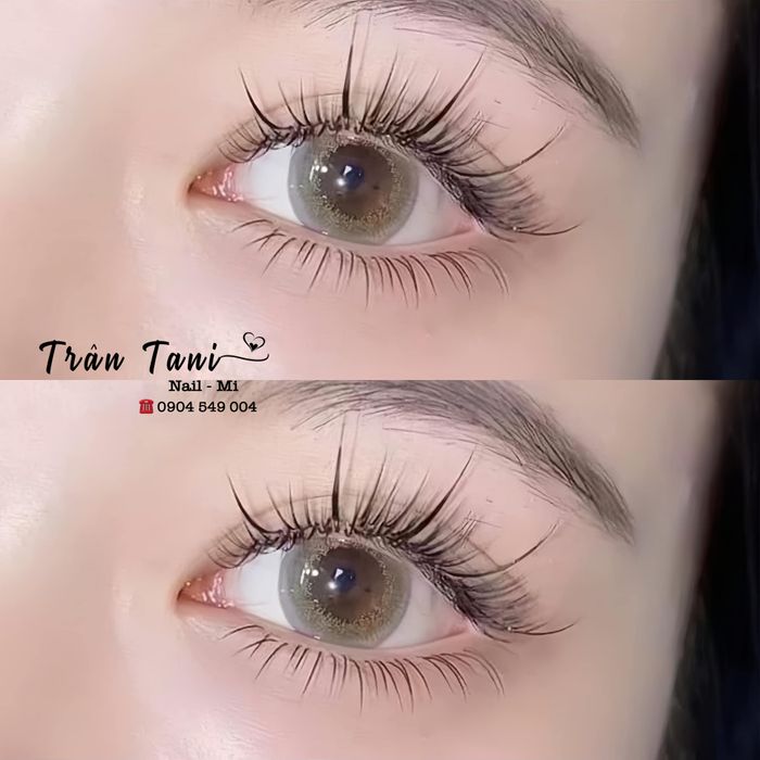 Trân Tani Mi - Hình ảnh 1
