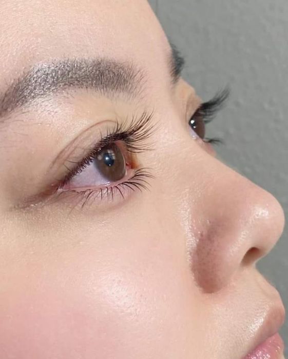 HaLyn Nail & Eyelash - Hình ảnh 1