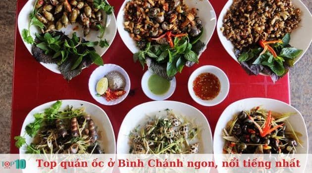Ốc Cu Bo - Địa chỉ vàng cho tín đồ ốc sành điệu