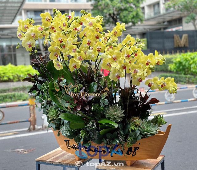 Joy Flowers Orchids Premium - Tinh hoa lan hồ điệp đất Quận 4