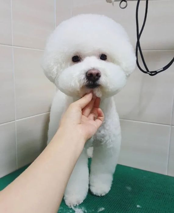 Không gian sang trọng và dịch vụ đẳng cấp tại TILU SPA