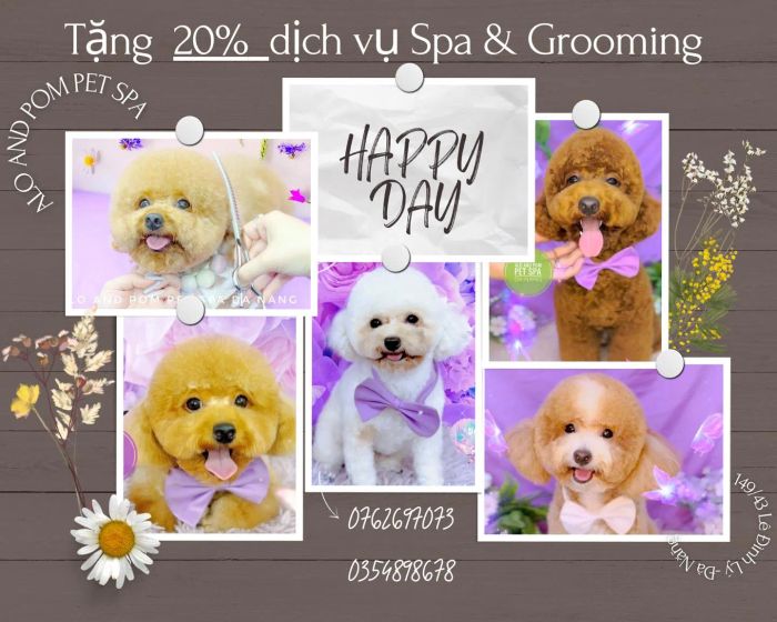 Không gian sang trọng tại Alo and Pom - Thế Giới Thú Cưng