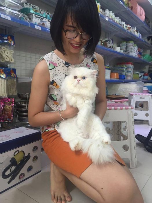 Ảnh Kún Miu Pet Shop 2