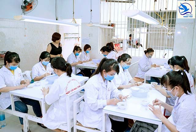 Ngọc Tâm Yến - Tinh túy từ thiên nhiên