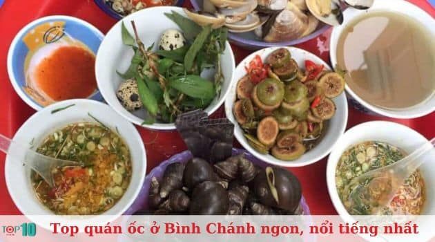 Ốc Gia Đình 2 - Thiên đường ốc tươi sống