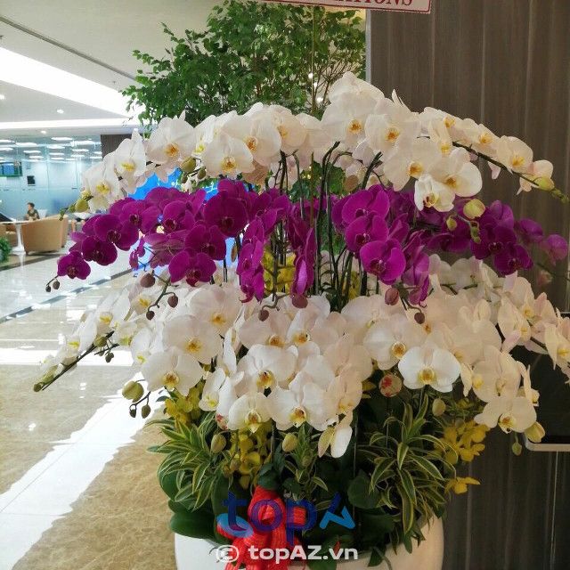 Flower Shop - Điểm hẹn hoa tươi Quận 4