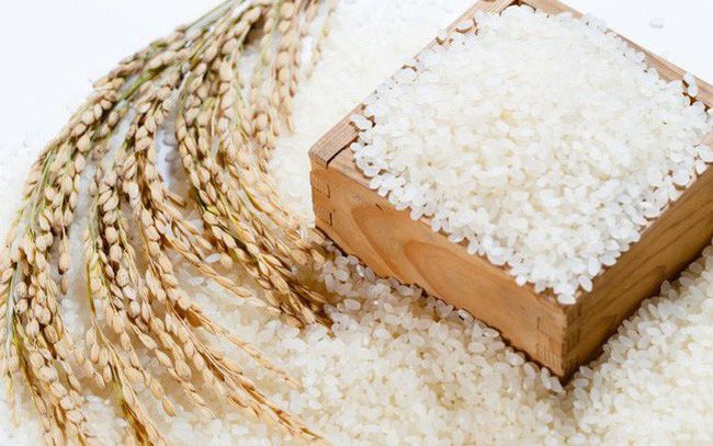 Công ty TNHH Lương thực Ngọc Đồng hình ảnh 1