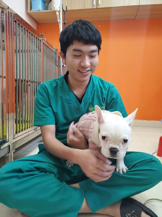 Bệnh viện thú cảnh Greenpet ảnh 3