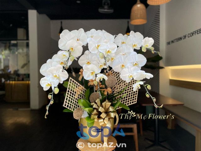 Thị Mẹ Flower - Nghệ thuật lan hồ điệp đỉnh cao