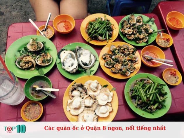 Các quán ốc nổi tiếng tại Quận 8, nơi không chỉ có hương vị thơm ngon mà còn đậm đà bản sắc ẩm thực Sài Gòn.