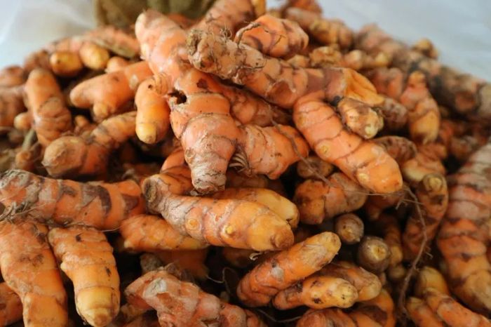 Hình ảnh nghệ vàng nguyên chất - tinh hoa từ thiên nhiên