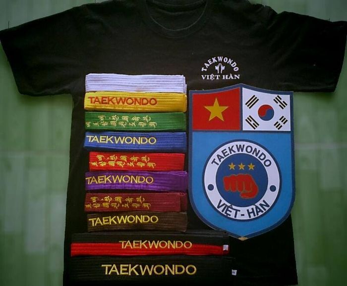 CLB Taekwondo Việt Hàn - Hình ảnh 2