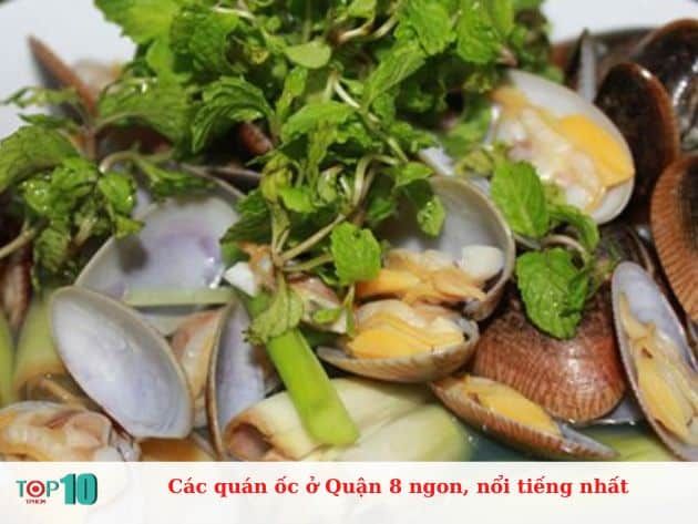Các quán ốc ở Quận 8 ngon, nổi tiếng nhất