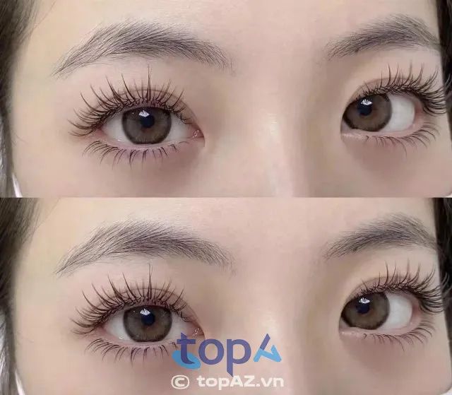 Học nghề nối mi chuyên nghiệp tại Nha Trang