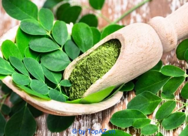 Địa chỉ vàng cung cấp hạt, lá, bột chùm ngây nguyên chất tại TP.HCM