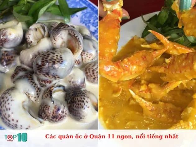 Danh sách các quán ốc ngon và nổi tiếng tại Quận 11