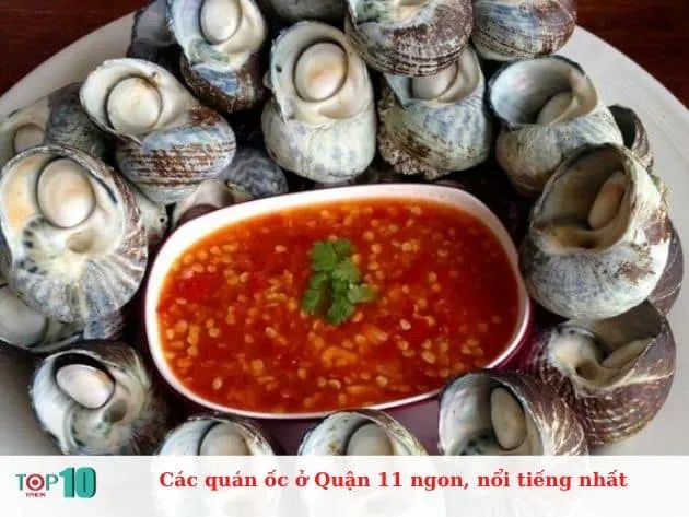 Các quán ốc ở Quận 11 ngon, nổi tiếng nhất