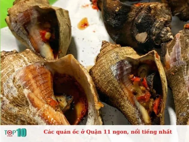 Danh sách những quán ốc ngon và nổi tiếng tại Quận 11