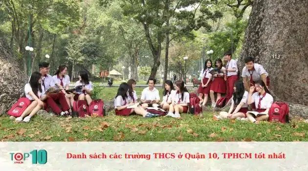 Trường Liên Cấp Hòa Bình - Hành trình từ những năm tháng đầu đời đến ngưỡng cửa trưởng thành
