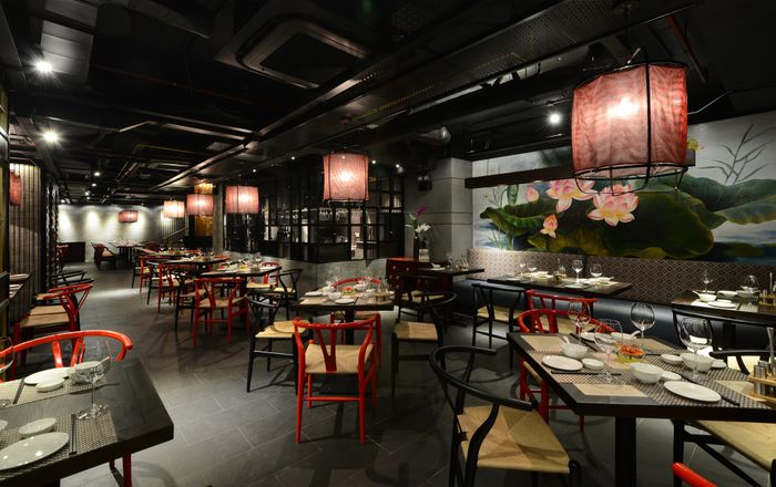 Trải nghiệm vị giác tinh tế tại Ngô Dining - Ảnh 3