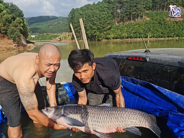 Hồ Câu Cá Tà Nung - Góc bình yên giữa núi rừng Tây Nguyên