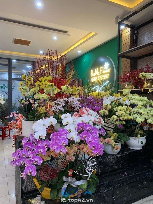 Shop Hoa Tươi Ban Mê - Điểm hẹn của những vòng hoa tang lễ trang trọng tại Buôn Ma Thuột