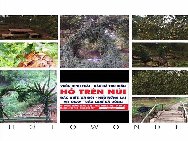 Vườn Sinh Thái Hồ Trên Núi - Thiên nhiên hùng vĩ trong từng góc ảnh