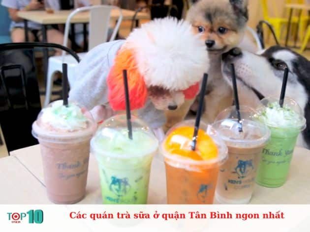 Tổng hợp các quán trà sữa hấp dẫn nhất tại quận Tân Bình