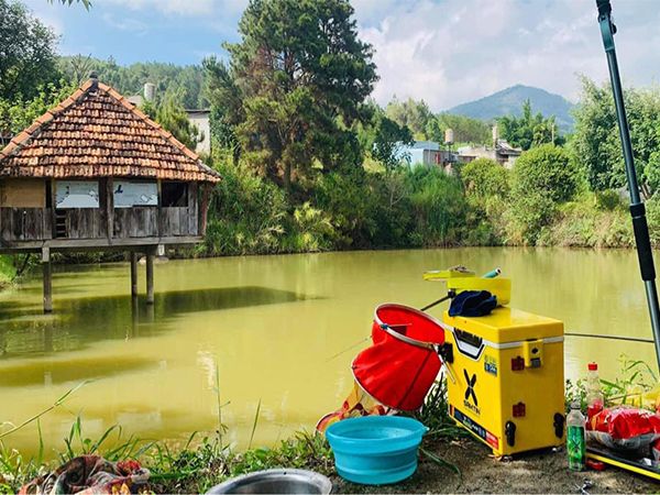 Hồ Câu Tràng An - Khung cảnh thiên nhiên thơ mộng