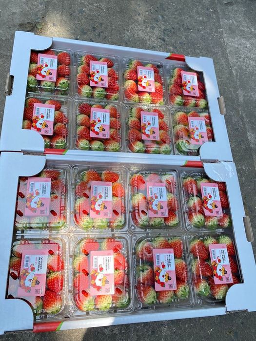 Nắng Fruits - Điểm hẹn lý tưởng của tín đồ trái cây nhập khẩu tại Dĩ An