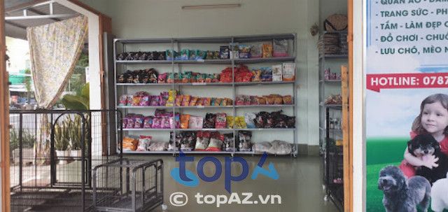 Bệnh viện Thú Y Bảo Minh Châu - Địa chỉ vàng cho sức khỏe thú cưng